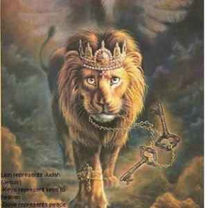 Meet your Posher, Trish